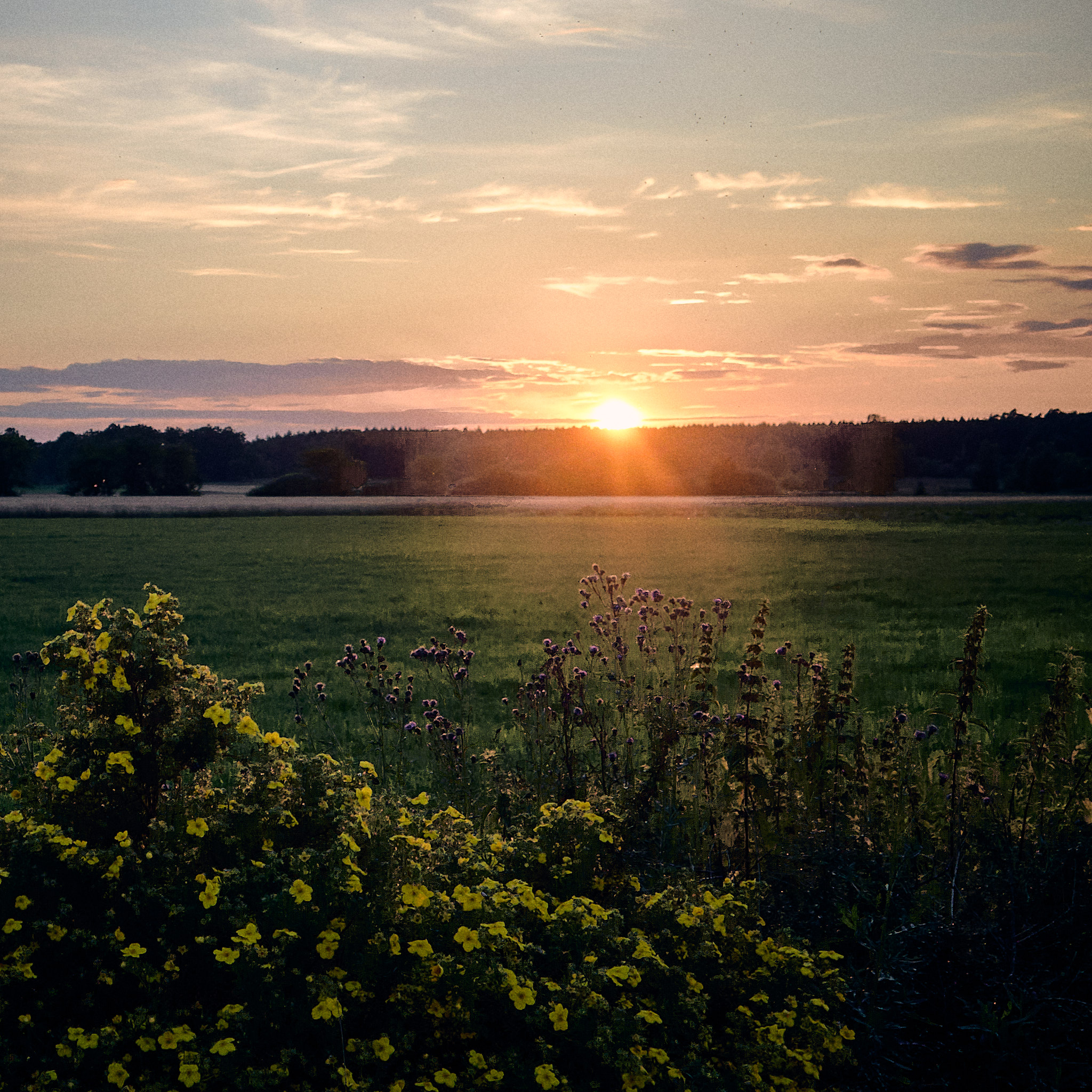 Solnedgång över slätten, Kristianstad